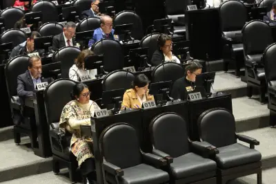 Cámara de Diputados revela lista de 100 aspirantes al INE para entrevistas