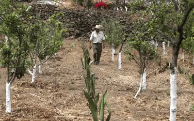 Conagua enfrenta retos en pozos: costo y tecnología limitan su control