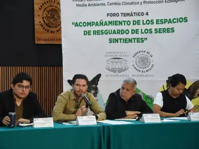 Congreso CDMX avanza en Ley de Albergues Animales tras foro con rescatistas