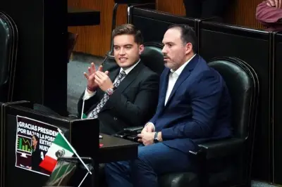 Convocan a la ciudadanía a participar en consulta sobre reformas electorales