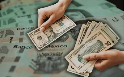 Cotización del dólar hoy 24 de abril: peso mexicano estable