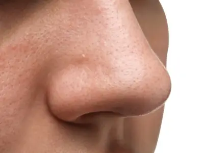 Crean el primer mapa detallado de los receptores olfativos en la nariz