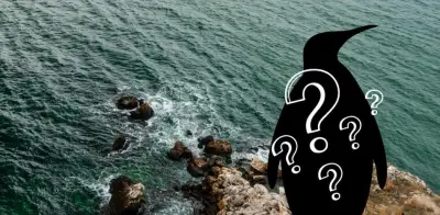 Día Mundial de los Pingüinos: el Megadyptes antipodes, el más raro