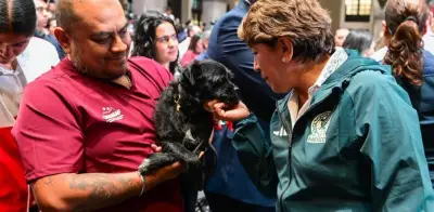 Edomex prohíbe venta de perros y gatos en vía pública con multas severas