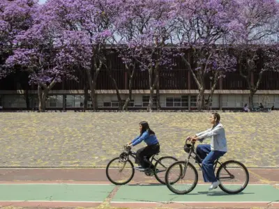 El rol crucial de las universidades en las políticas públicas: De la crítica a la colaboración