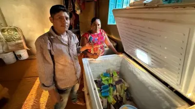 Emprendedores de Cochoapa el Grande, Guerrero, generan ingresos sin migrar