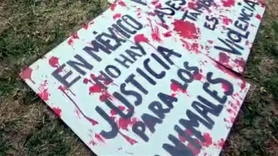 Familiares y colectivos exigen esclarecer feminicidio de rescatista en México