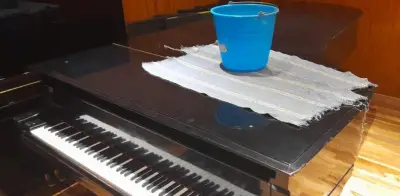 Goteras en Conservatorio Nacional: alumnos piden inspección urgente de Protección Civil