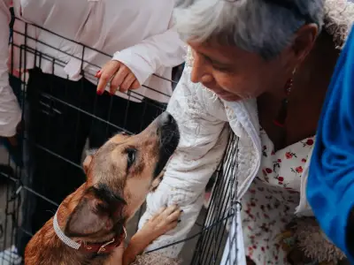 Guadalajara realiza Jornada de Bienestar Animal con servicios gratuitos para mascotas