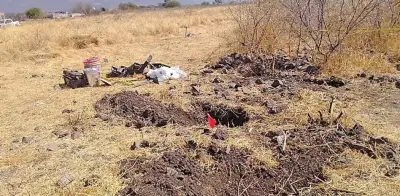 Hallan 20 cuerpos en fosas clandestinas en Cortazar, Guanajuato; FGE inicia análisis