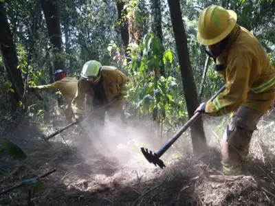 Huixquilucan implementa brechas cortafuego para proteger bosques en temporada de calor