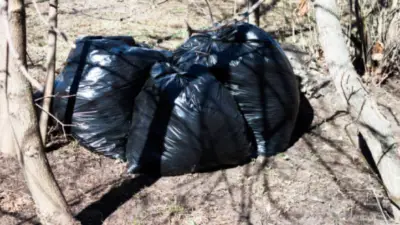 Identifican restos en Zihuatanejo como hijo de periodista en Guerrero