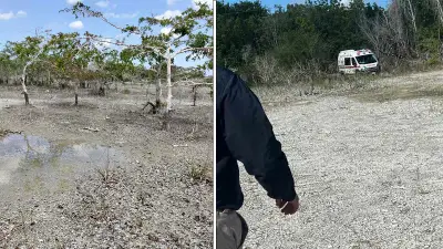 Madres Buscadoras hallan restos de cinco personas en fosa clandestina de Quintana Roo