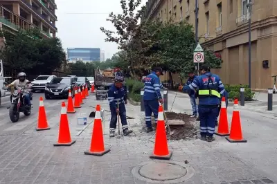 Modifican cruces peatonales en corredor verde de Ocampo