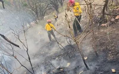 Nuevo incendio forestal en Bosque La Primavera de Jalisco moviliza a 35 combatientes