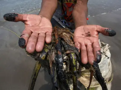 PAN denuncia falta de protocolos ante derrame de hidrocarburos que afecta 4 estados