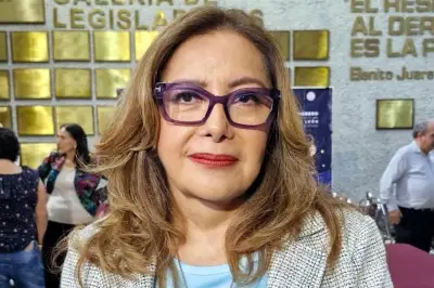 Pedirán opinión médica sobre plomo en niños