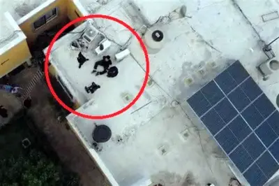 Persiguen con dron a ladrón que huía por azoteas en Nuevo León