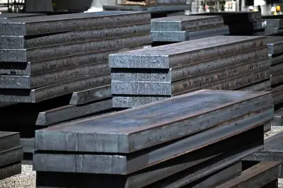 Preocupa alcance del plan acerero por impacto ambiental