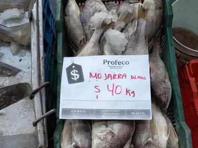 Profeco clausura 11 comercios en operativo de Cuaresma y Semana Santa 2026