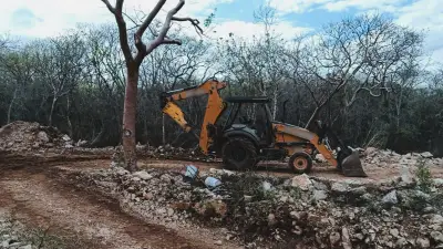 Profepa clausura desarrollo turístico en Abalá, Yucatán por daño ambiental grave