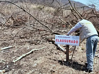 Profepa clausura predio en Morelos por desmonte ilegal para cultivo de agave