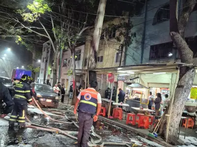 Rescatan con vida a gatos, perro y tortugas tras incendio en departamento de la colonia Obrera