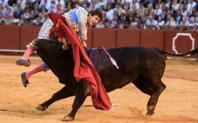 Roca Rey, hospitalizado tras grave cornada en Sevilla