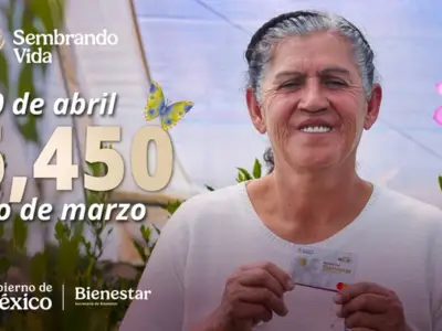 Sembrando Vida entrega tercer apoyo económico de 6,450 pesos a campesinos