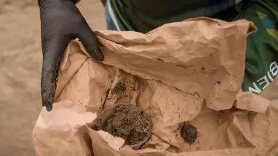 Sheinbaum: Sin confirmación de que combustible del Golfo haya llegado a EE. UU.