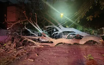 Tormenta en Guadalajara derriba árboles sobre autos y cables eléctricos