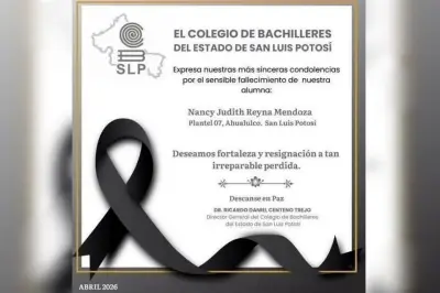 Tres Hermanos Menores Fallecen en Trágico Accidente de Tránsito en Carretera