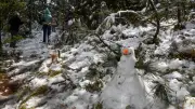 A pesar del cierre preventivo, familias desafían el frío para jugar con nieve en el Nevado de Toluca