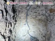 Autoridades desmantelan túnel de 79 metros en Nogales usado para tráfico de personas