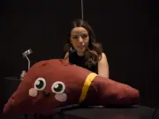 Cenatra busca fortalecer cultura de donación de órganos en México