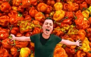 Chile habanero: el rey del picor mexicano que desafía a los valientes