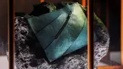 Científicos y diseñadores creanzan bolso con colágeno de tiranosaurio rex