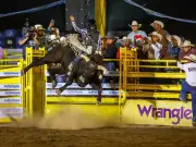 Coahuila Invita a Disfrutar Semana Santa con Actividades Culturales y Seguridad Vial