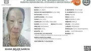 Detienen a pareja sentimental de rescatista Diana Belén tras su asesinato en Edomex