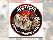 Doble Escándalo: Pelícanos Muertos por Derrame en Veracruz y Corrupción en Refugio Franciscano