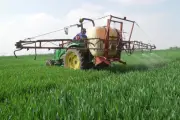 El Agro Mexicano Sufre un Incremento del 55% en el Precio de Fertilizantes por la Guerra