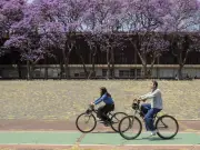 El rol crucial de las universidades en las políticas públicas: De la crítica a la colaboración