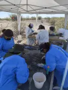 FIDH respalda a la ONU: Desapariciones en México son crímenes de lesa humanidad