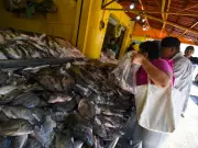 Fraude en pescados: 38% de lo que se vende en México no es la especie anunciada