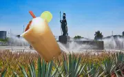 Guadalajara 2026: Bebidas tapatías más allá del tequila para el Mundial