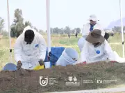 Hallan 317 restos óseos en lagunas de Chalco y Tláhuac durante jornada de búsqueda