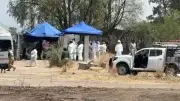 Hallan fosa clandestina con cinco cuerpos en límites de Villagrán y Juventino Rosas, Guanajuato