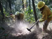 Huixquilucan implementa brechas cortafuego para proteger bosques en temporada de calor