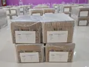 IECM distribuye Lista Nominal para elecciones COPACO y Presupuesto Participativo 2026