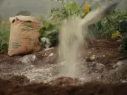 La cal hidratada: aliada esencial en salud pública y crecimiento económico de México